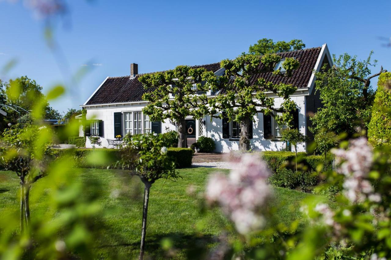 B&B Wilhelmina'S Cottage リデルケルク エクステリア 写真